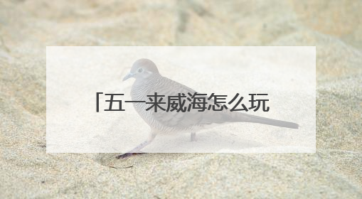 五一来威海怎么玩？特色活动 + 景区攻略直接抄作业
